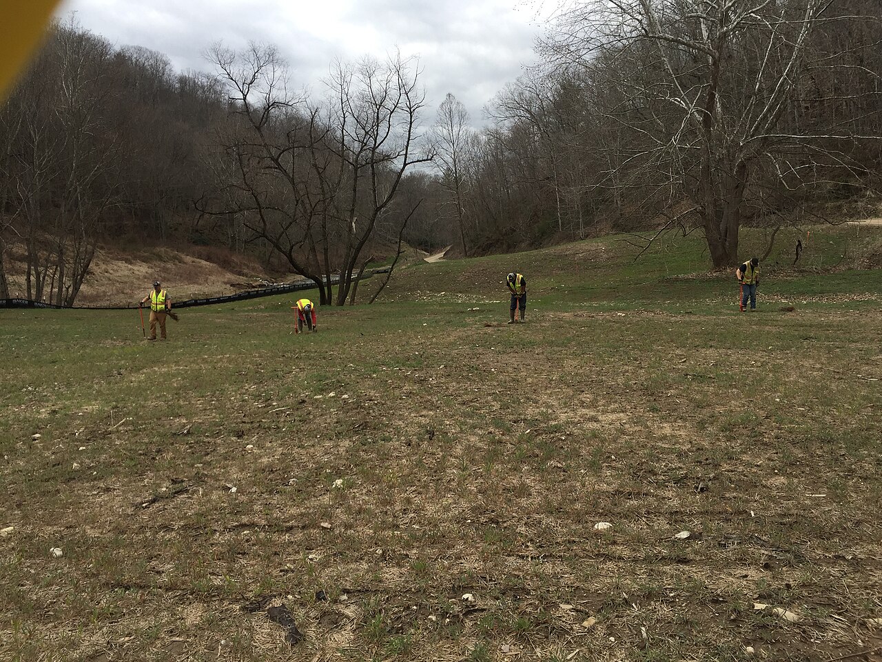 Volunteers planting native species at a habitat restoration site
