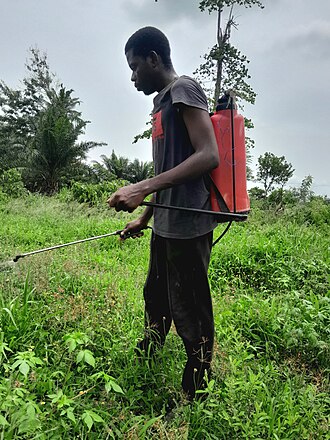 Herbicide spraying destroying milkweed habitat