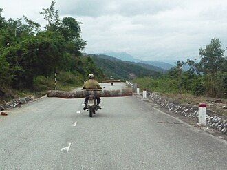 Illegal logging destroying overwintering forests