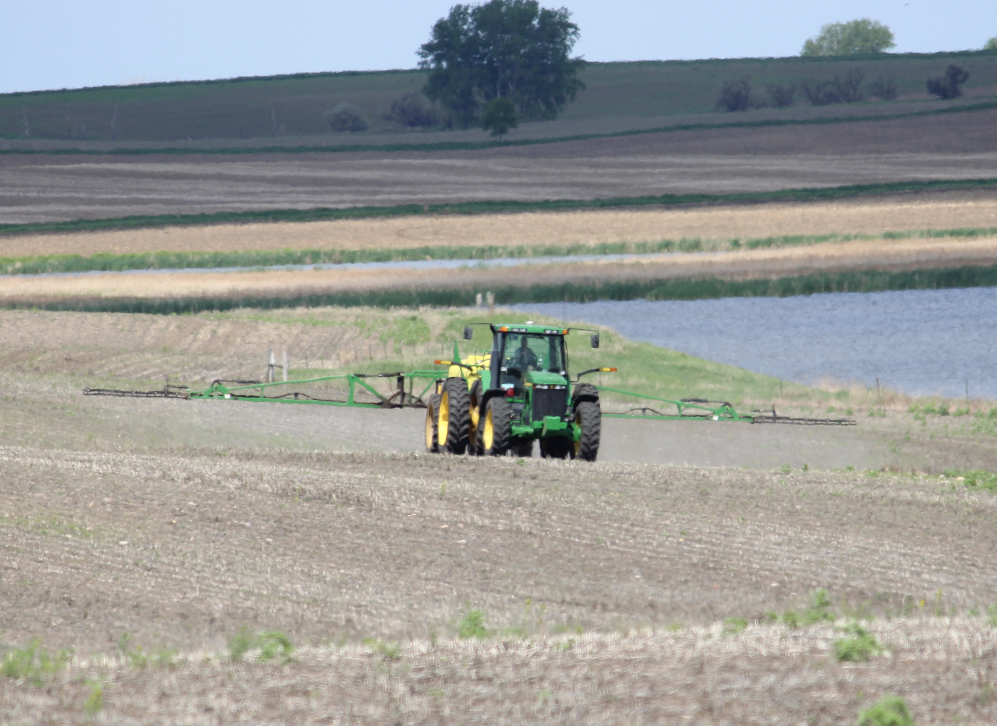 Herbicide spraying in agricultural habitat where native milkweed is removed