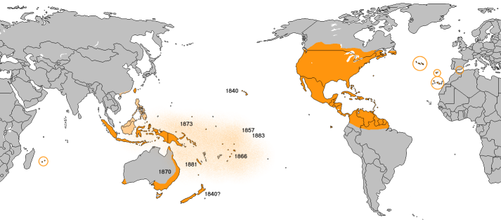 World map showing global distribution of monarch butterflies, including native range in the Americas and established populations in Australia, Europe, and Pacific islands